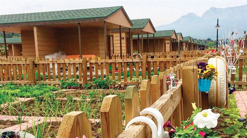 HOBİ DEĞİL TALAN!